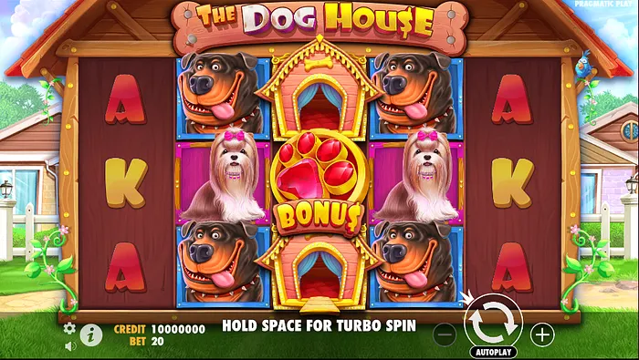 The Dog House Seru Banget, Anjing Lucu Bawa Cuan Besar