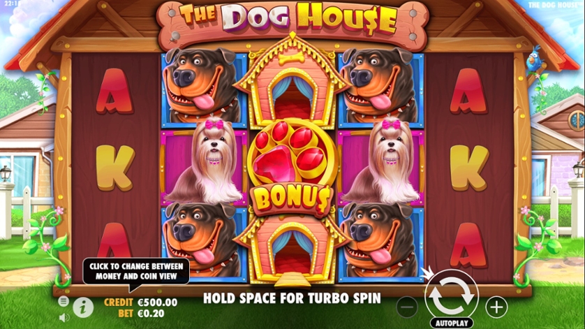 The Dog House: Dunia Anjing Penuh Warna dan Kejutan Seru